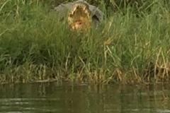 uganda_7_2